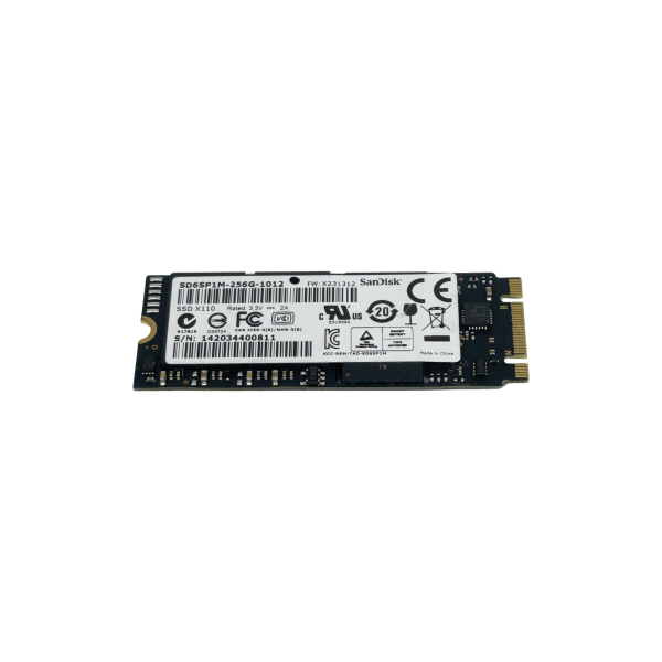 SanDisk X110 256GB M.2 2260 SATA SSD SD6SP1M-256G-1012